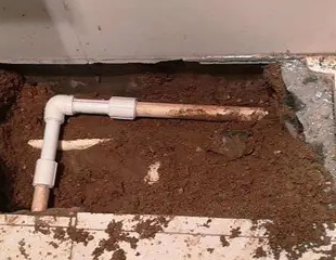 乐平测漏水哪家好