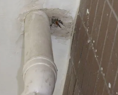 乐平漏水检测哪家好